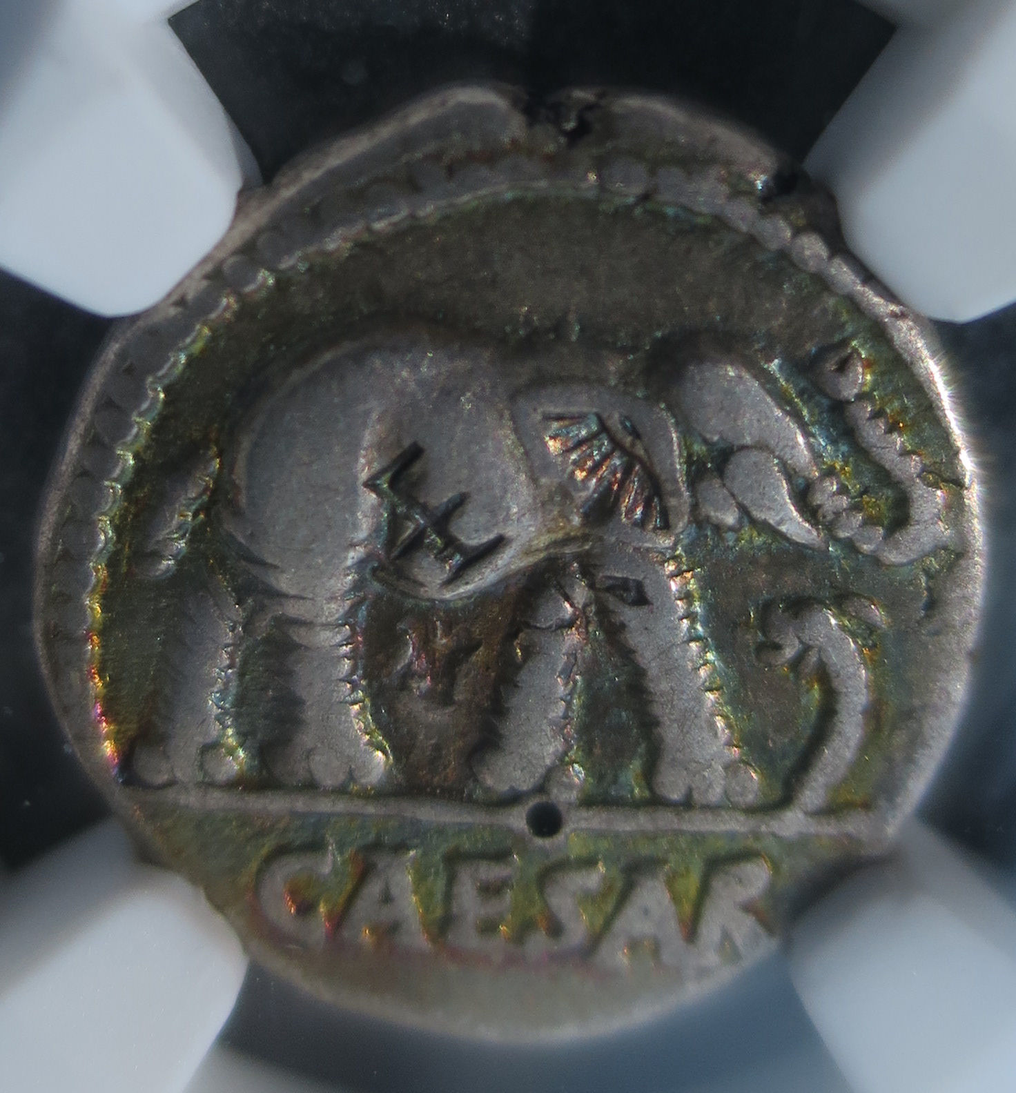 49-48 B.C. Julius Caesar NGC VF silver roman republic denarius military mint