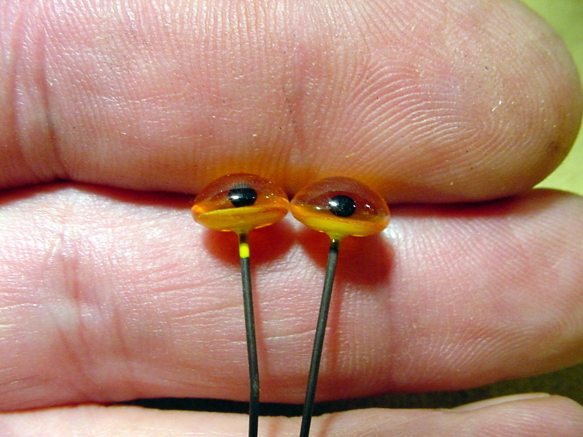 a pair vintage solid Glass Eyes size 8 mm teady bear taxidermy age 1910 Art A19