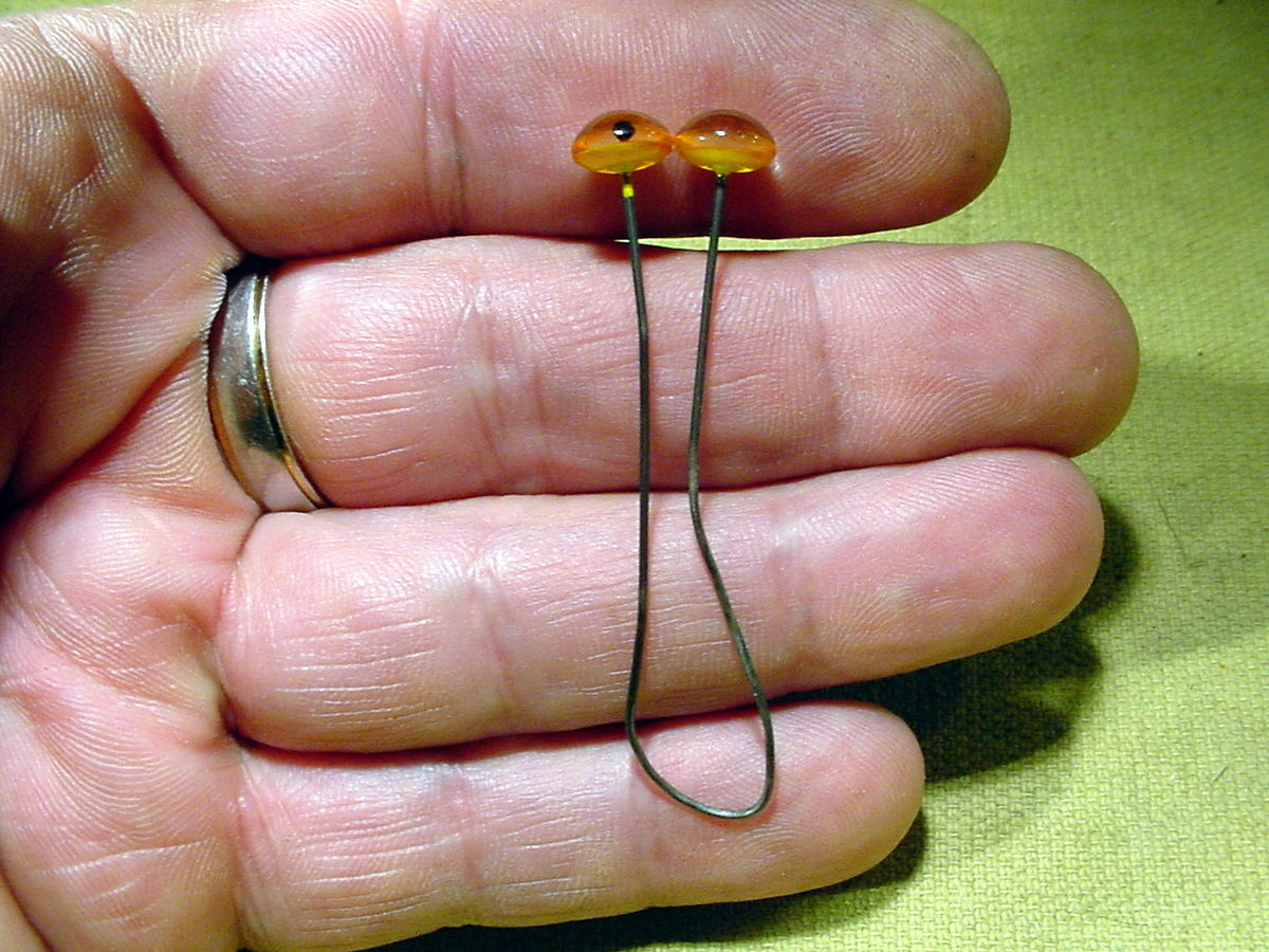 a pair vintage solid Glass Eyes size 8 mm teady bear taxidermy age 1910 Art A19