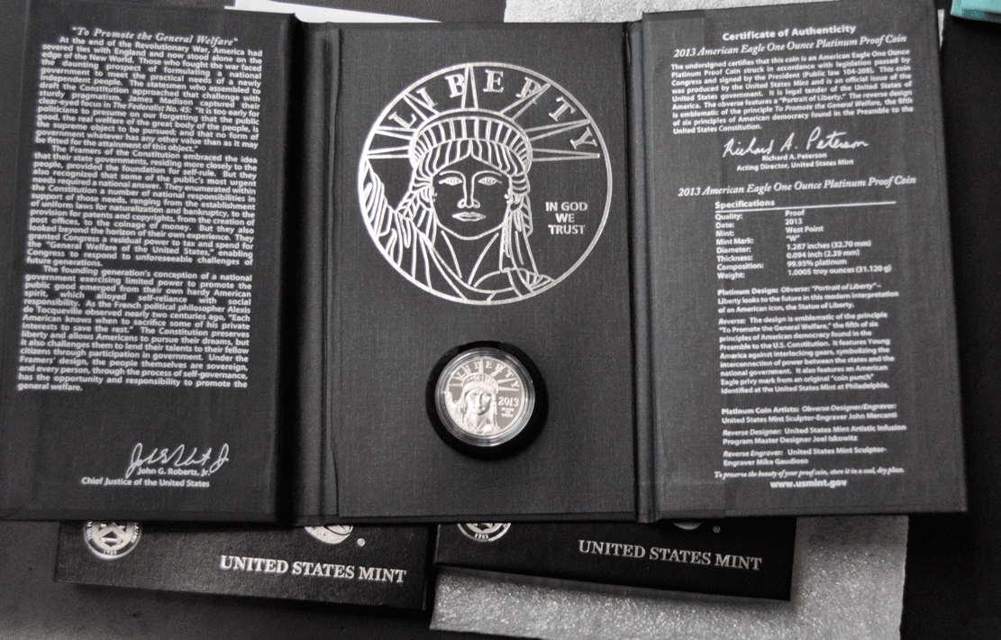 2013 $100 Proof Platinum Eagle Preamble Coin Series One Ounce .999 w/ Box