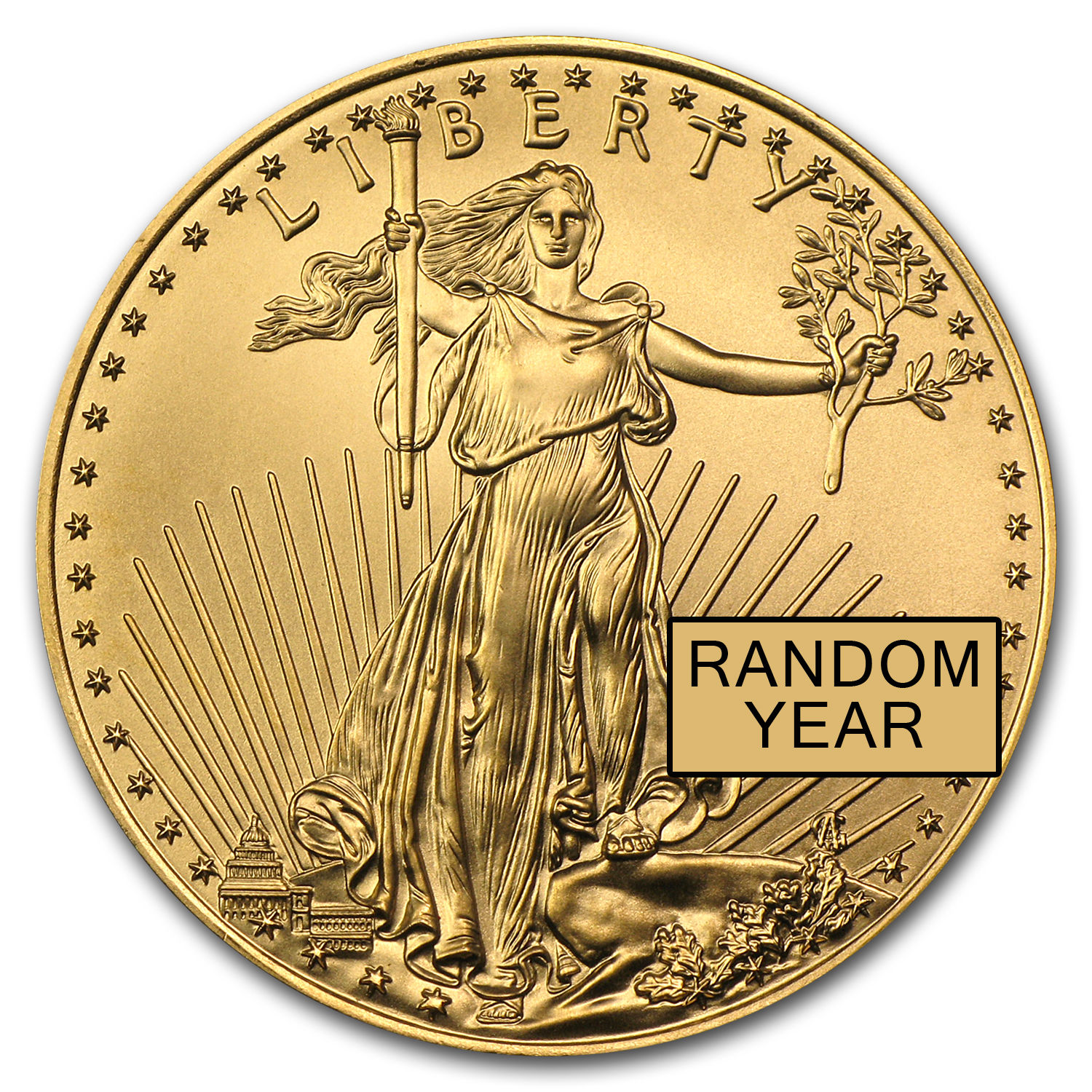 SPECIAL PRICE! 1 oz Gold American Eagle Coin - Random Year - SKU #84672