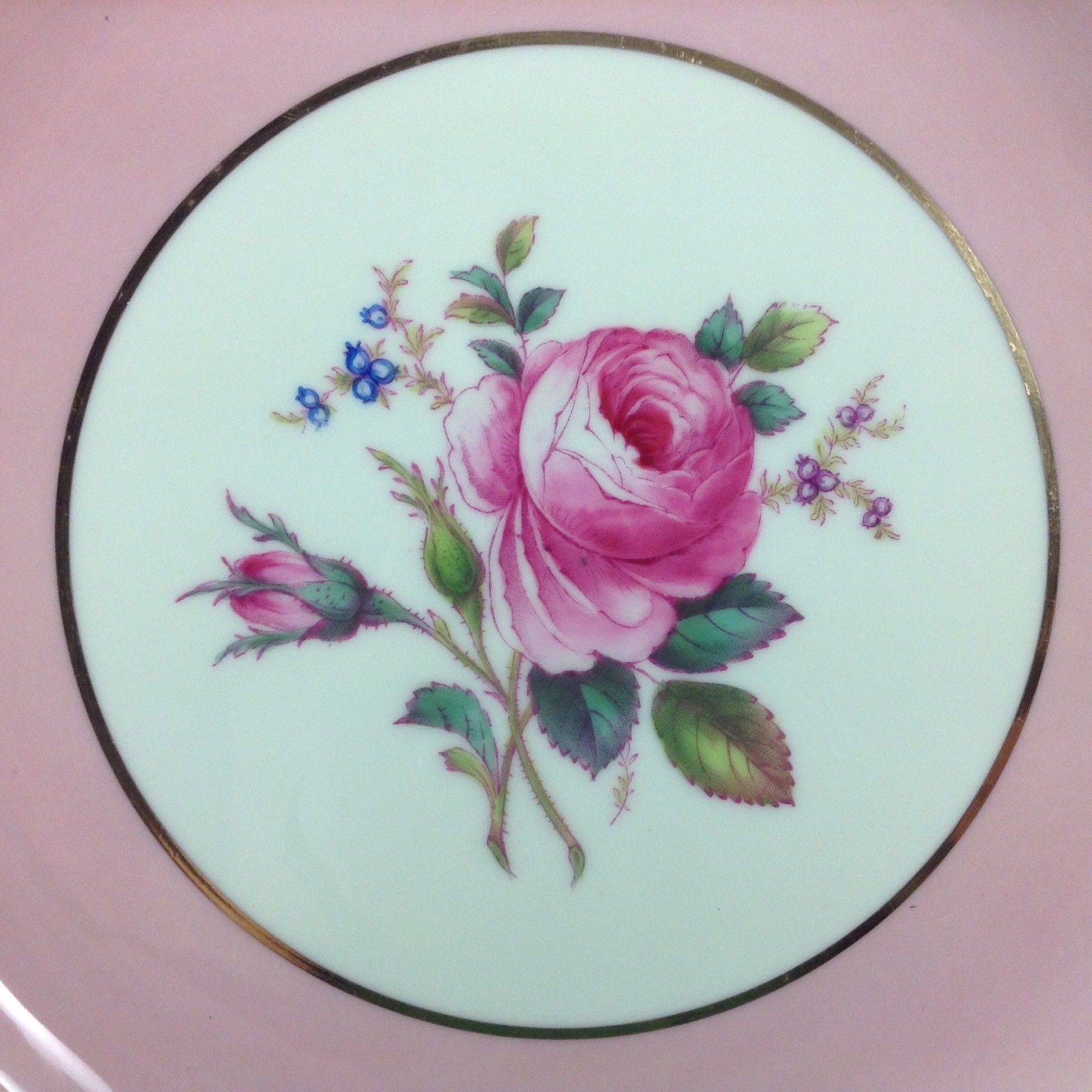 Set of 6 Copeland Spode Pink White Maritime Rose 10.75” Dinner Plates Lot Rare