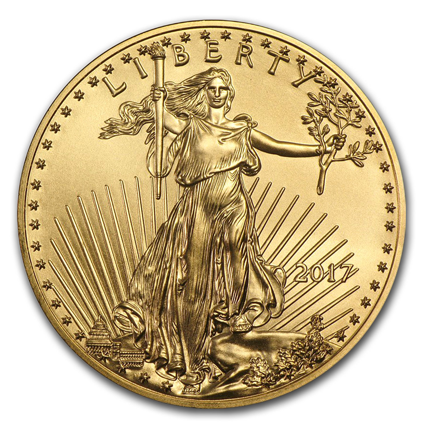 2017 1 oz Gold American Eagle (20-Coin MintDirect® Tube) - SKU #102255