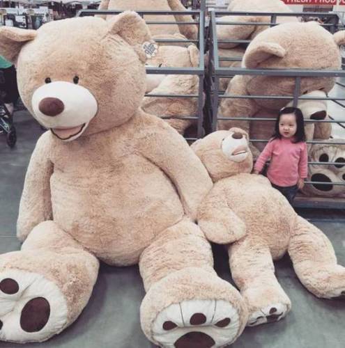 200CM SUPER HUGE TEDDY BEAR (ONLY COVER) PLUSH TOY SHELL (WITH ZIPPER) 79" AAA