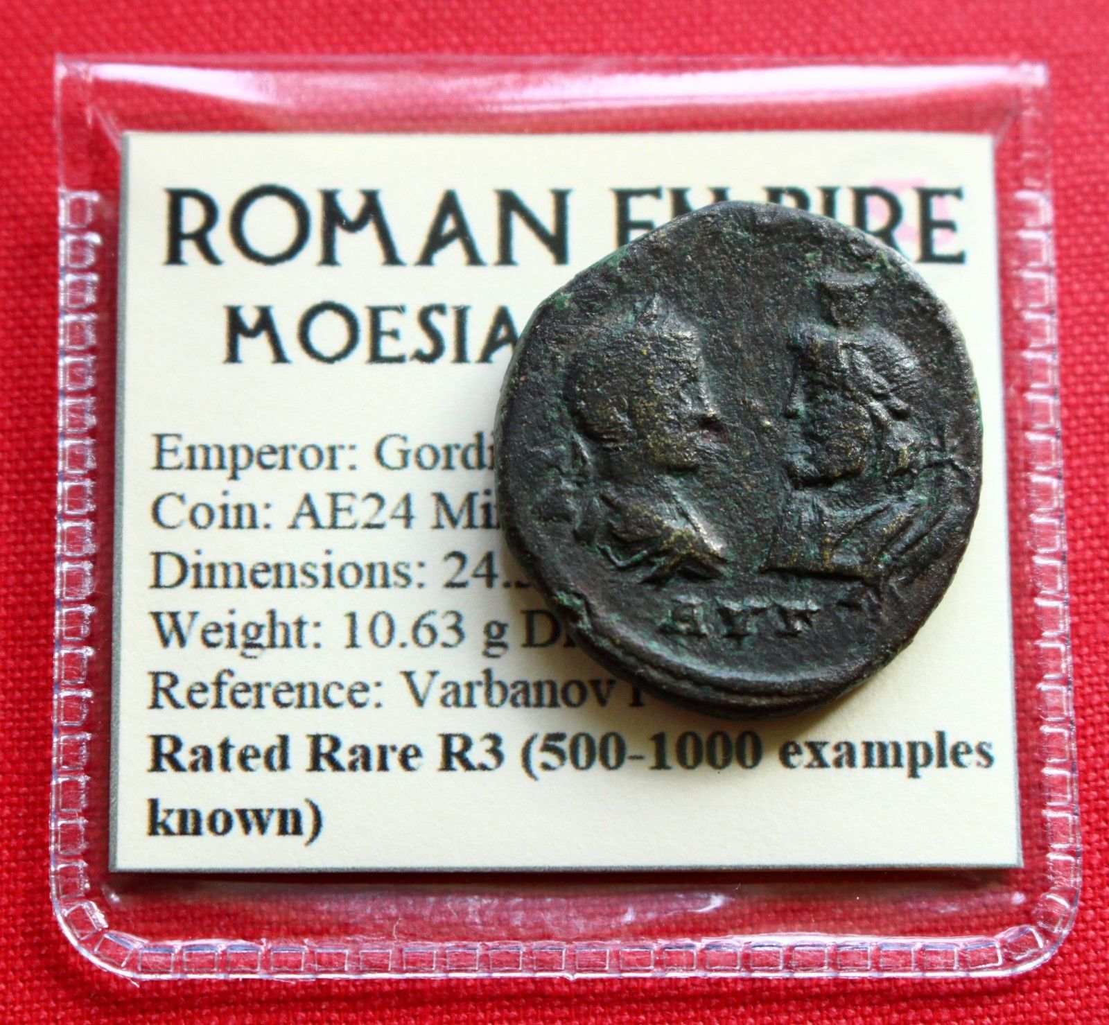 Gordian III Rare R3 AE24 10g Serapis Demeter Torch Odessus Roman Empire Coin