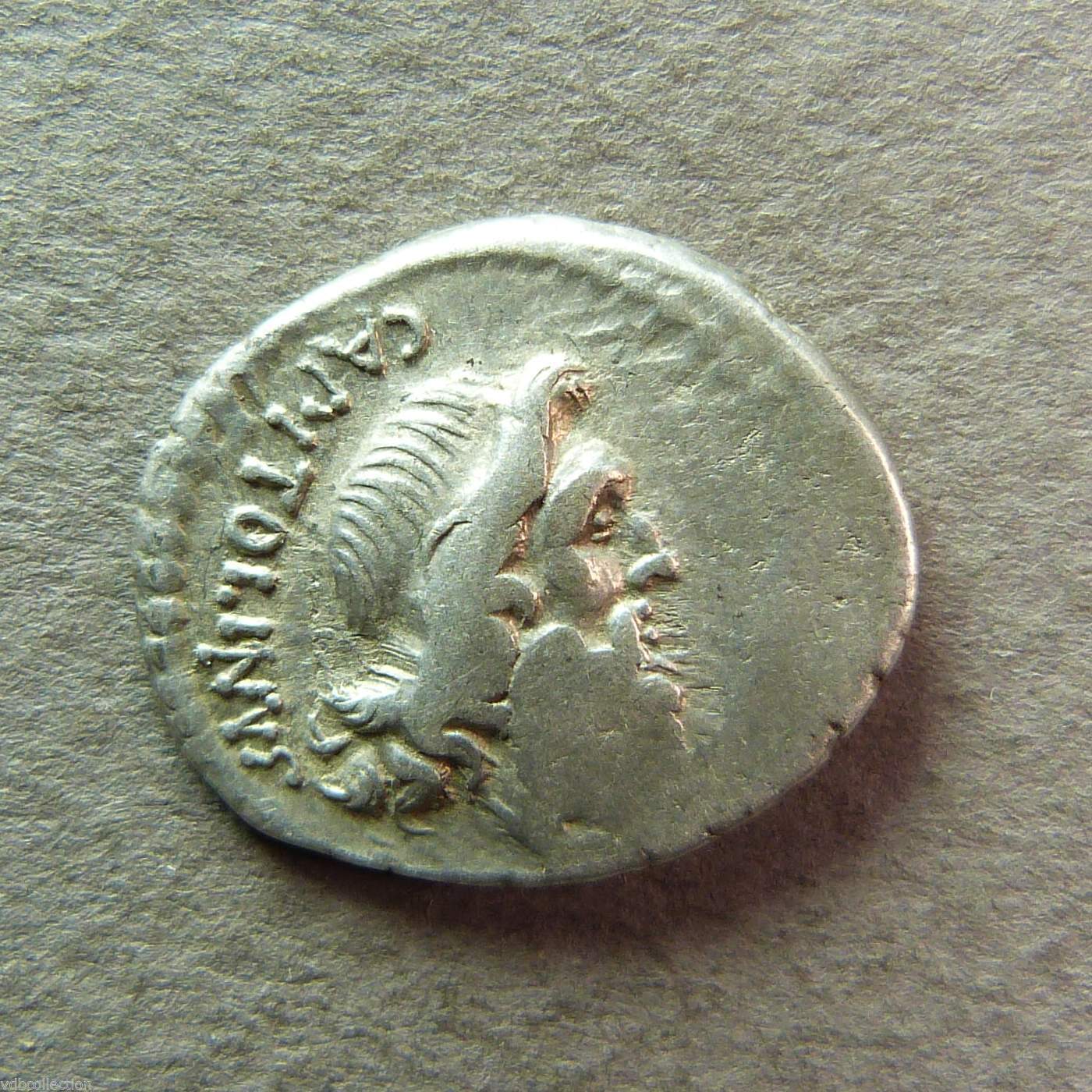 Denier de la République - PETILLIA - Rome, 43 AC - RCV 485 - R2 - TTB