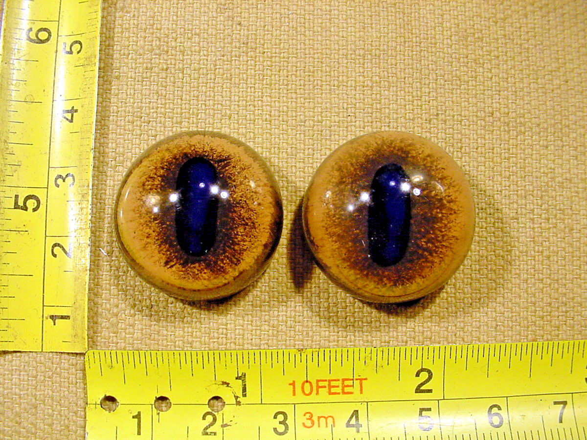 a pair vintage solid Glass Eyes size 24 mm teady bear taxidermy age 1910 Art  A1