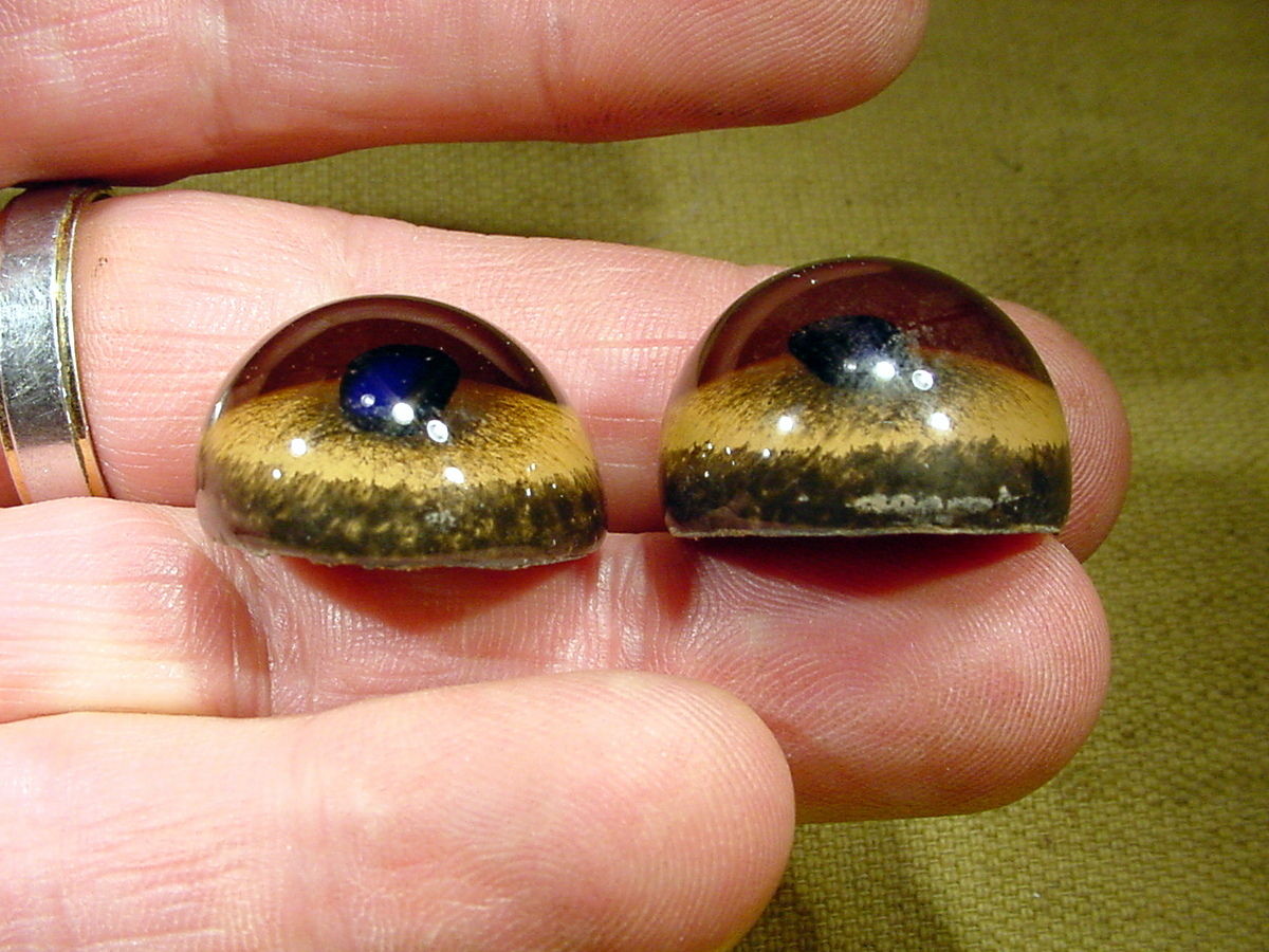 a pair vintage solid Glass Eyes size 24 mm teady bear taxidermy age 1910 Art  A1