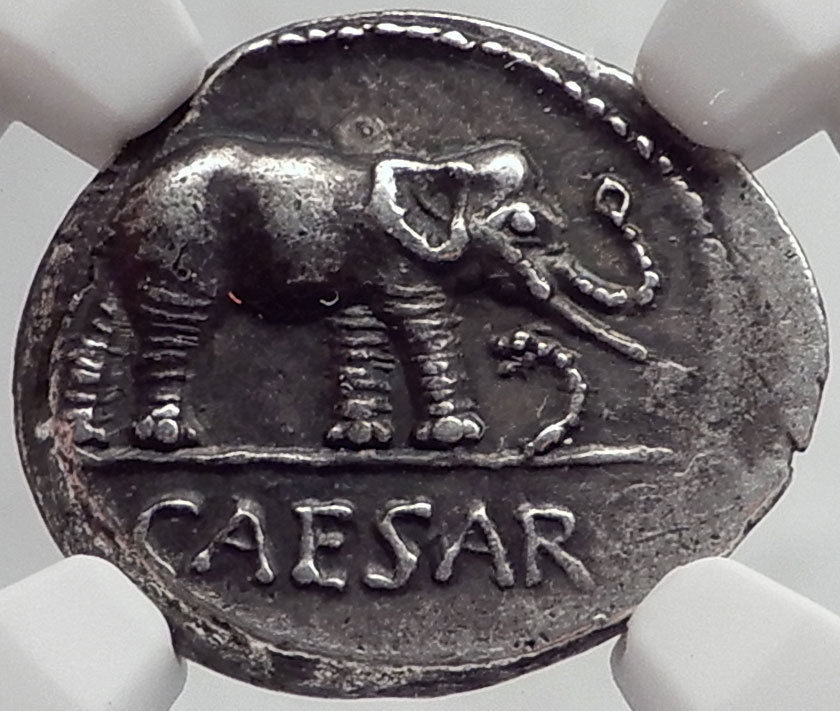 JULIUS CAESAR 49BC Elephant Serpent Authentic Ancient SILVER Roman Coin NGC chXF