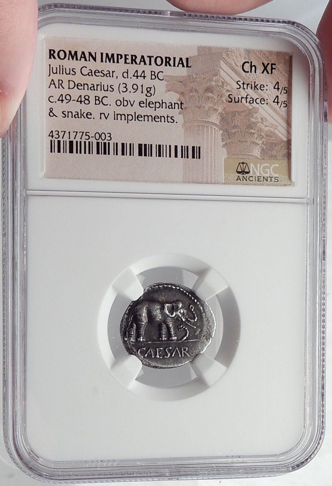 JULIUS CAESAR 49BC Elephant Serpent Authentic Ancient SILVER Roman Coin NGC chXF