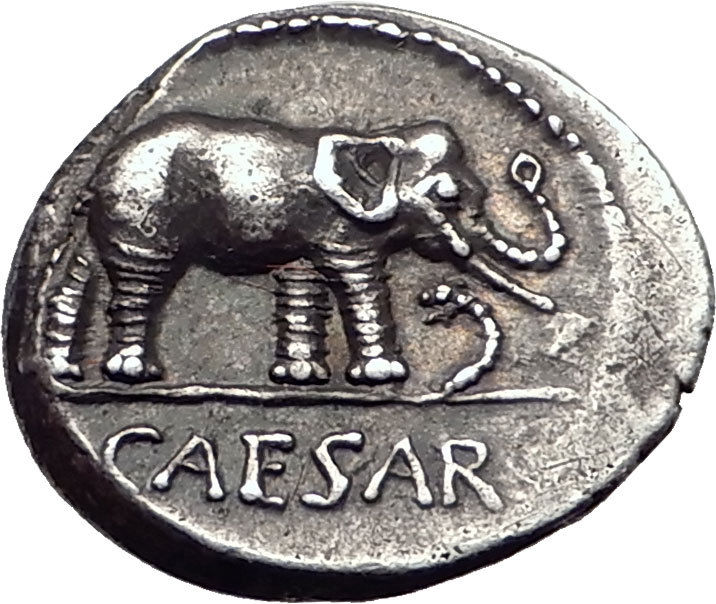 JULIUS CAESAR 49BC Elephant Serpent Authentic Ancient SILVER Roman Coin NGC chXF