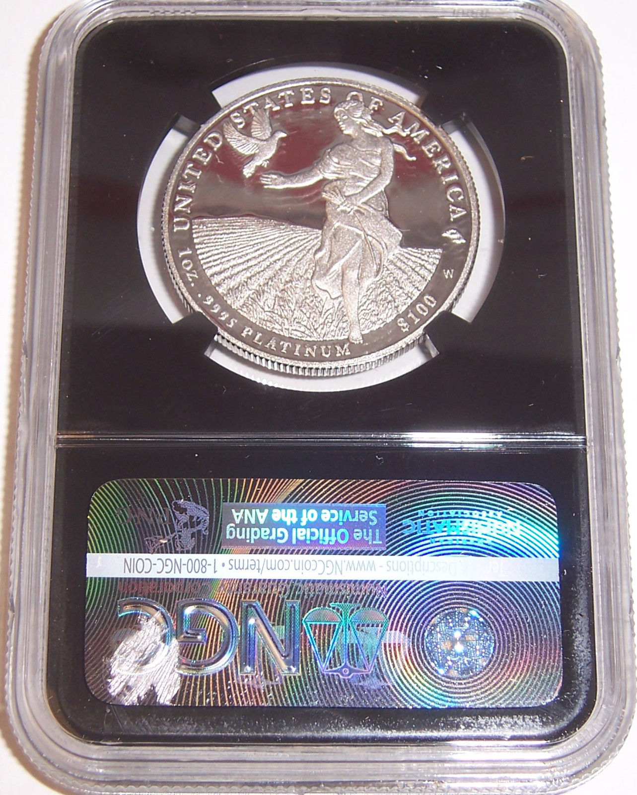 2011-W $100 1 oz .9995 Platinum Eagle NGC PF70 Ultra Cameo Retro Black Core!!!