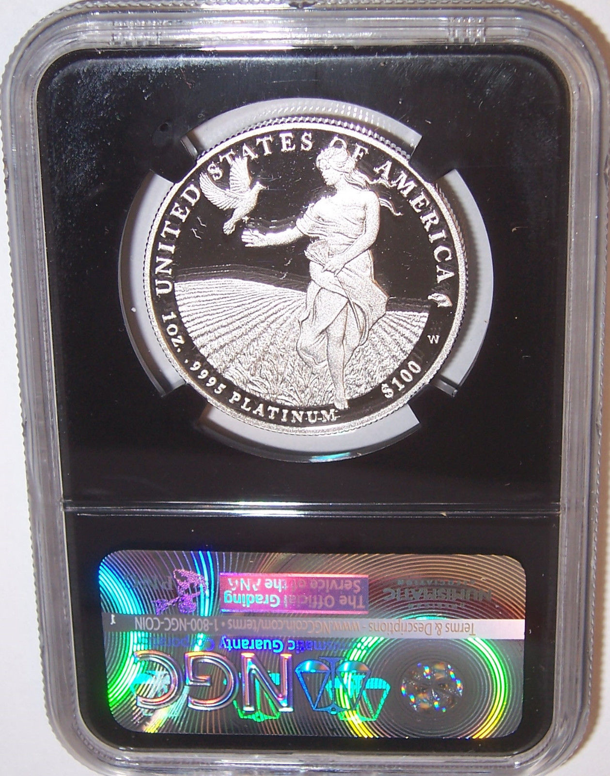 2011-W $100 1 oz .9995 Platinum Eagle NGC PF70 Ultra Cameo Retro Black Core!!!