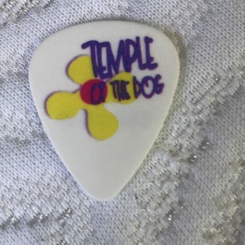 Temple Of the Dog Tour Mike McCready Pearl Jam Guitar Pick- RARE