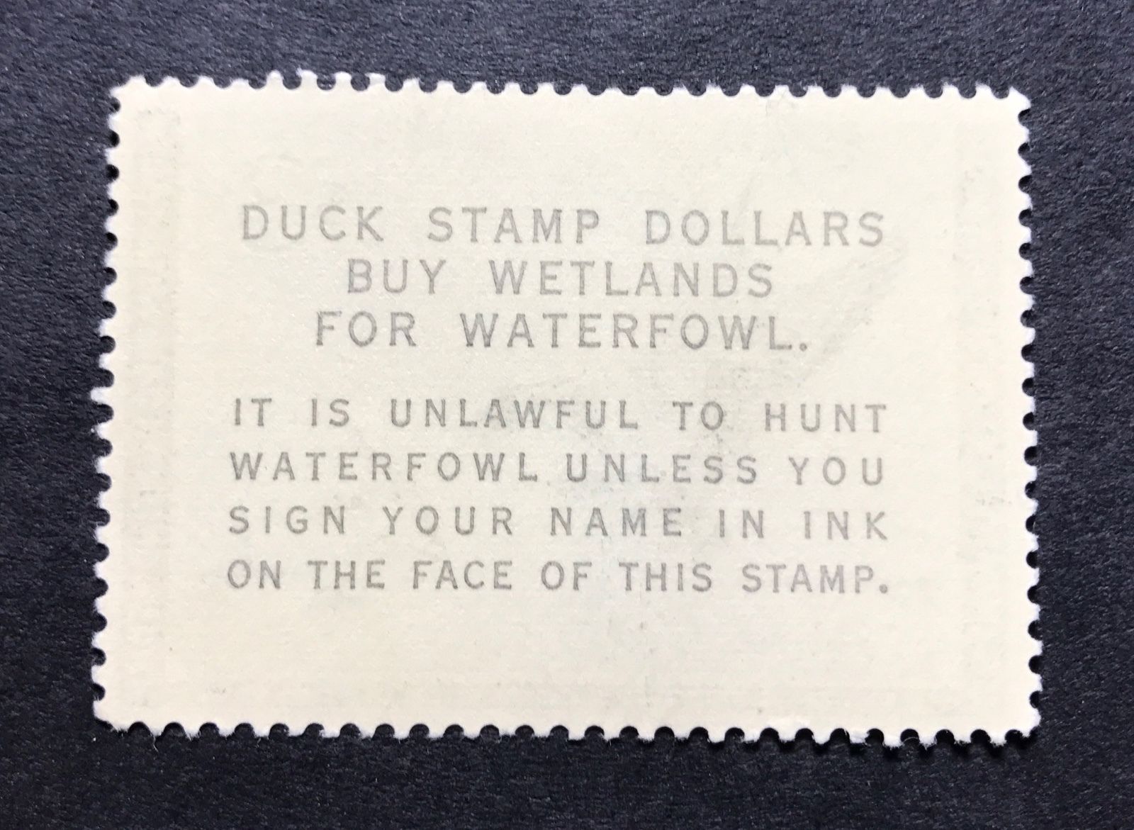 WTDstamps - #RW30 1963 - US Federal Duck Stamp - Mint OG NH