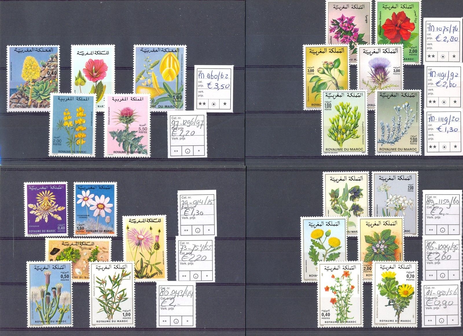 AFRICA MAROCCO  41 STAMPS  MOST FLORA  **  MNH  VF