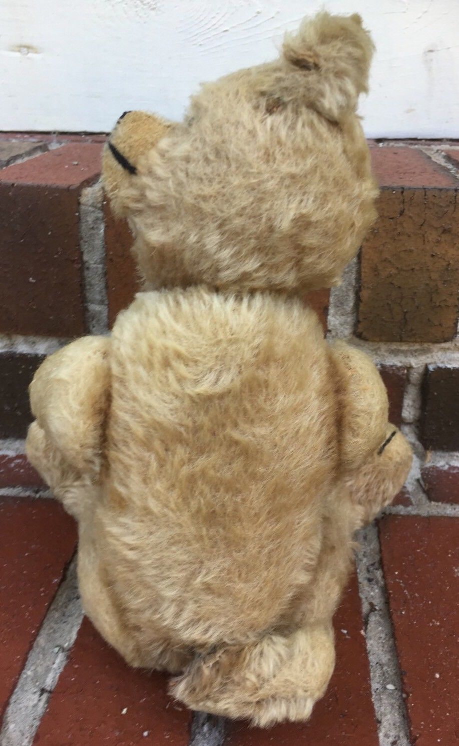 Rare Vintage Steiff Bear with Tail Moves Head Mechanism 1930's