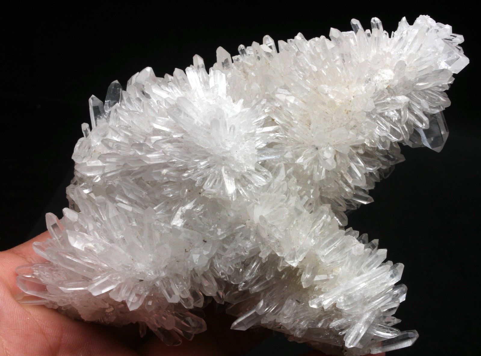 540g Rare Natural Beautiful White Chrysanthemum QUARTZ Crystal Cluster Specimen