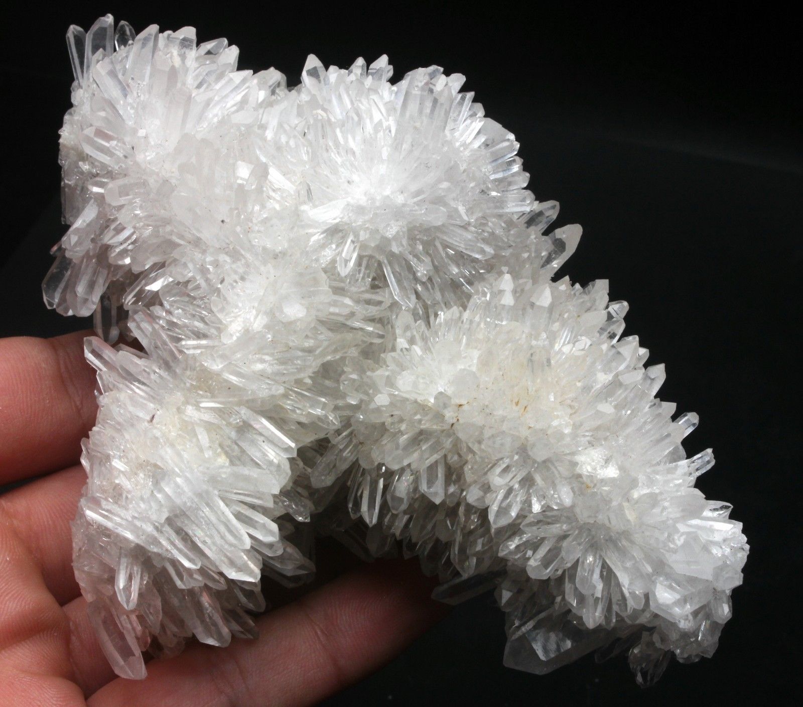 540g Rare Natural Beautiful White Chrysanthemum QUARTZ Crystal Cluster Specimen