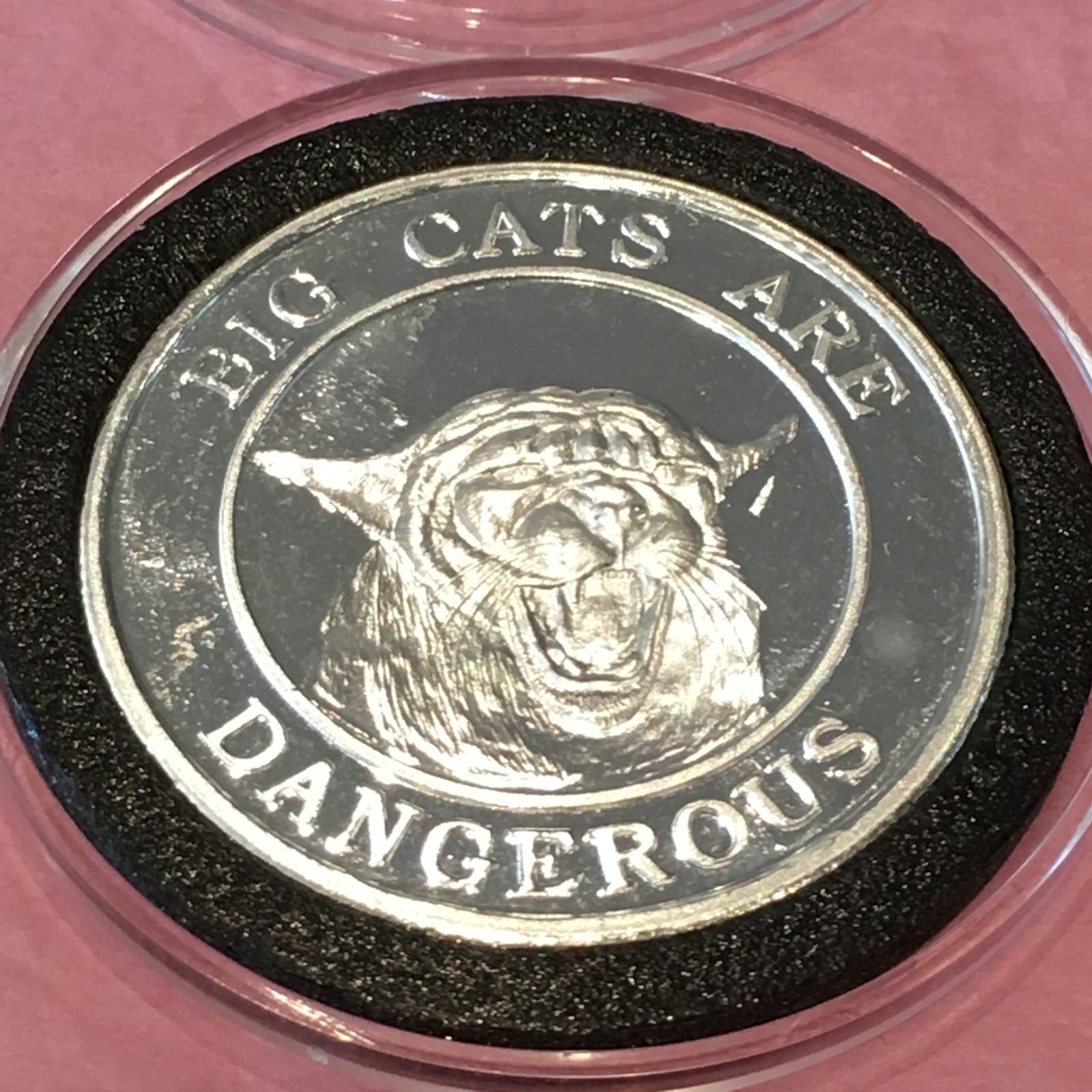 Big Cats Are Dangerous A Little Kitty Never Hurt 1 Troy Oz .999 Fine Silver Coin