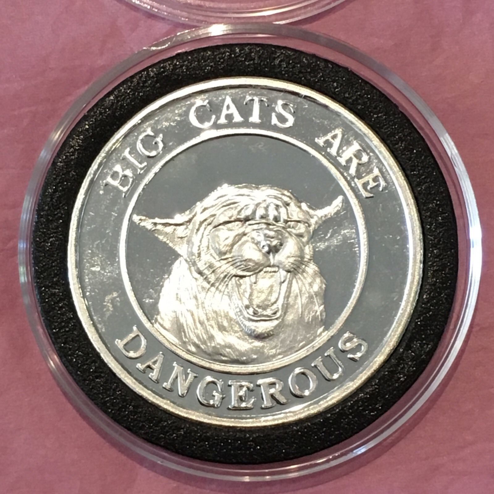 Big Cats Are Dangerous A Little Kitty Never Hurt 1 Troy Oz .999 Fine Silver Coin