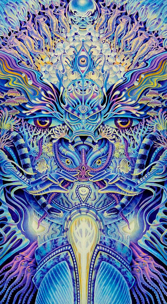 Psychedelic Trippy Art Silk Poster Decor 24x36inch