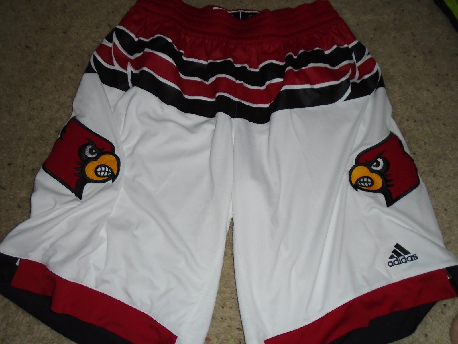 Louisville Cardinals Basketball Trey Lewis Game Used Shorts LG + 2 White