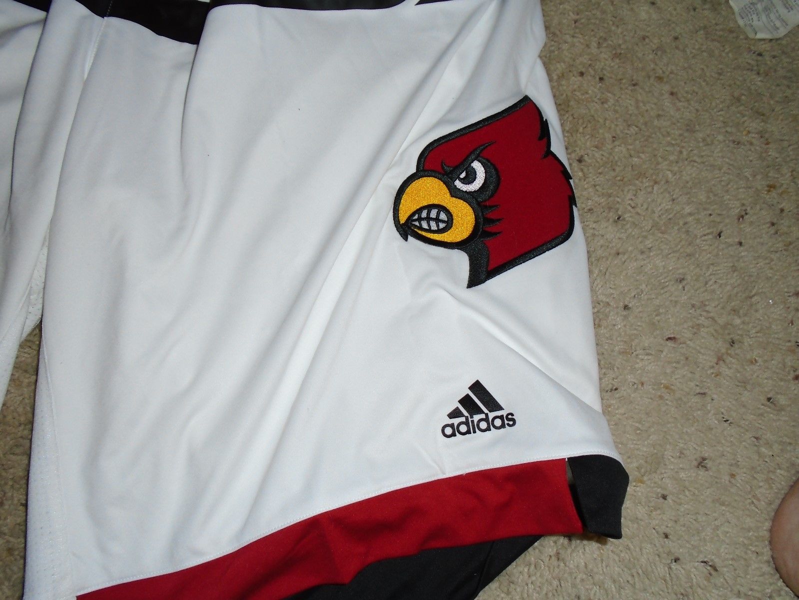 Louisville Cardinals Basketball Trey Lewis Game Used Shorts LG + 2 White