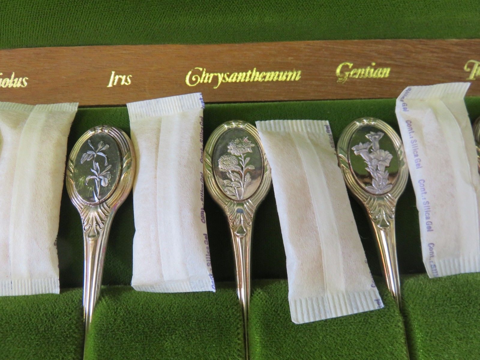 Royal Horticultural Society English Flower Spoons Vintage Sterling Silver Set 12