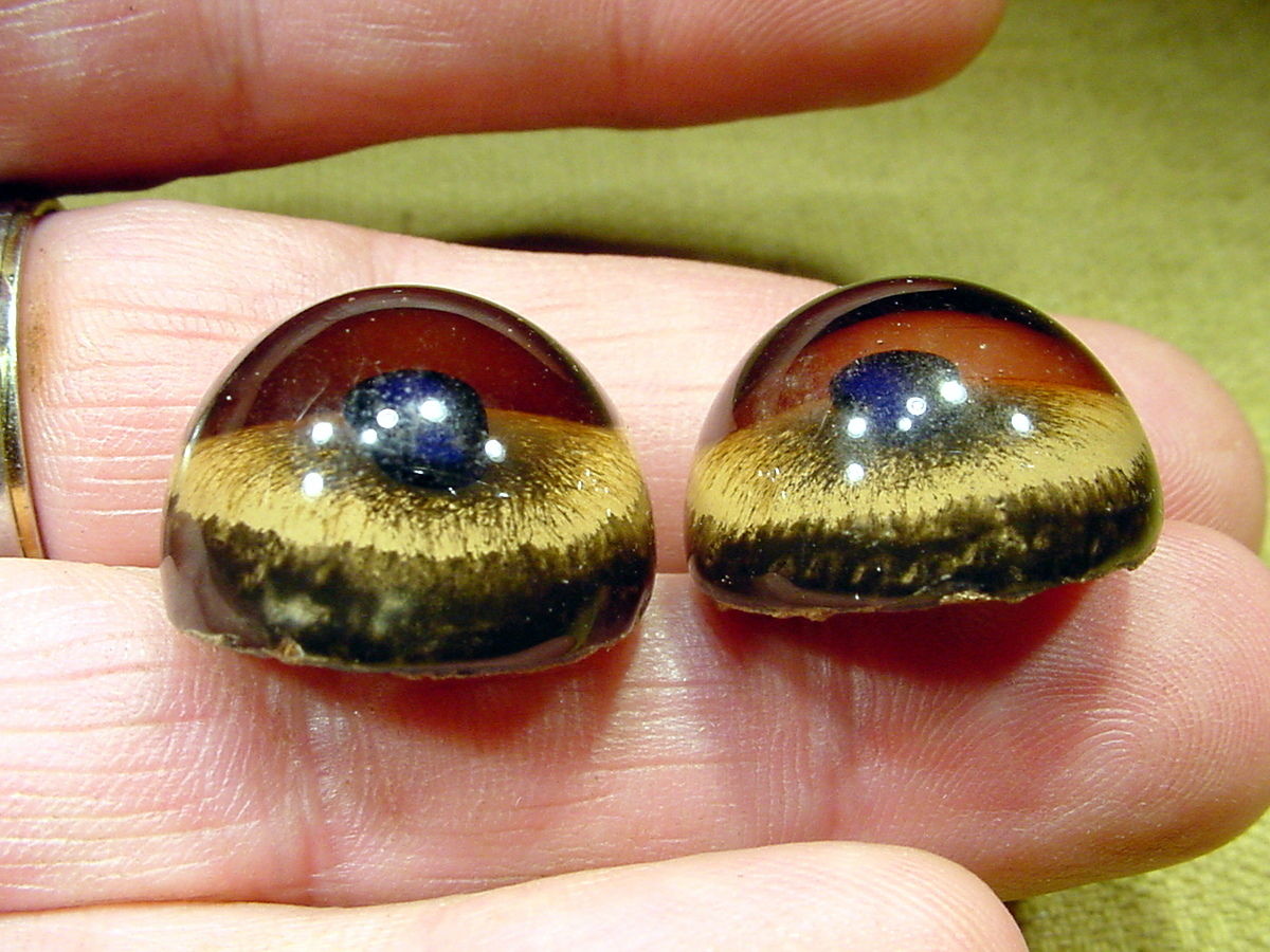 a pair vintage solid Glass Eyes size 22mm teady bear taxidermy age 1910 Art 1072