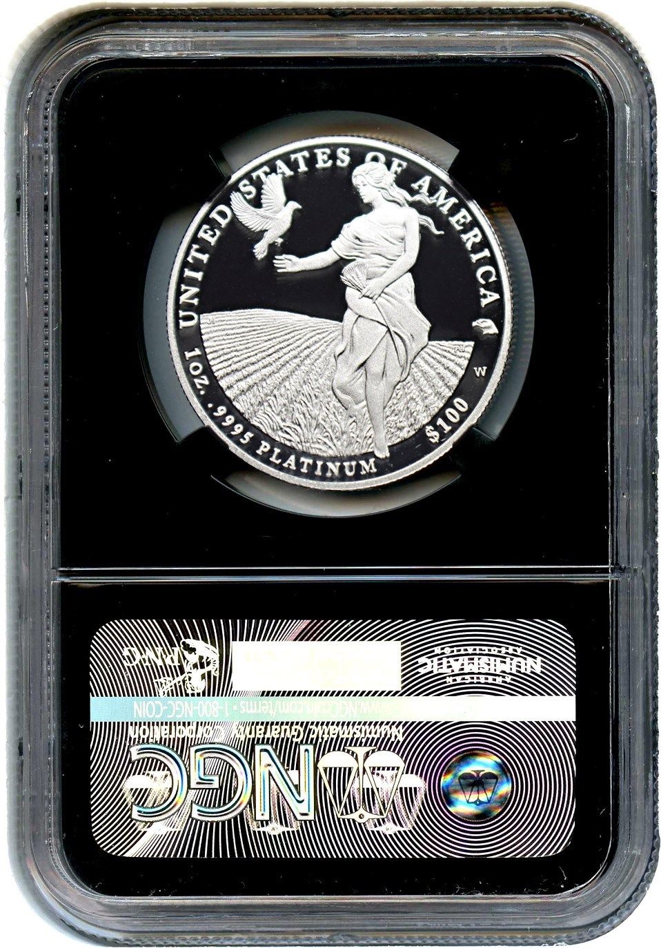 2011-W Platinum Eagle $100 NGC PR 70 UCAM - Statue Liberty 1 oz