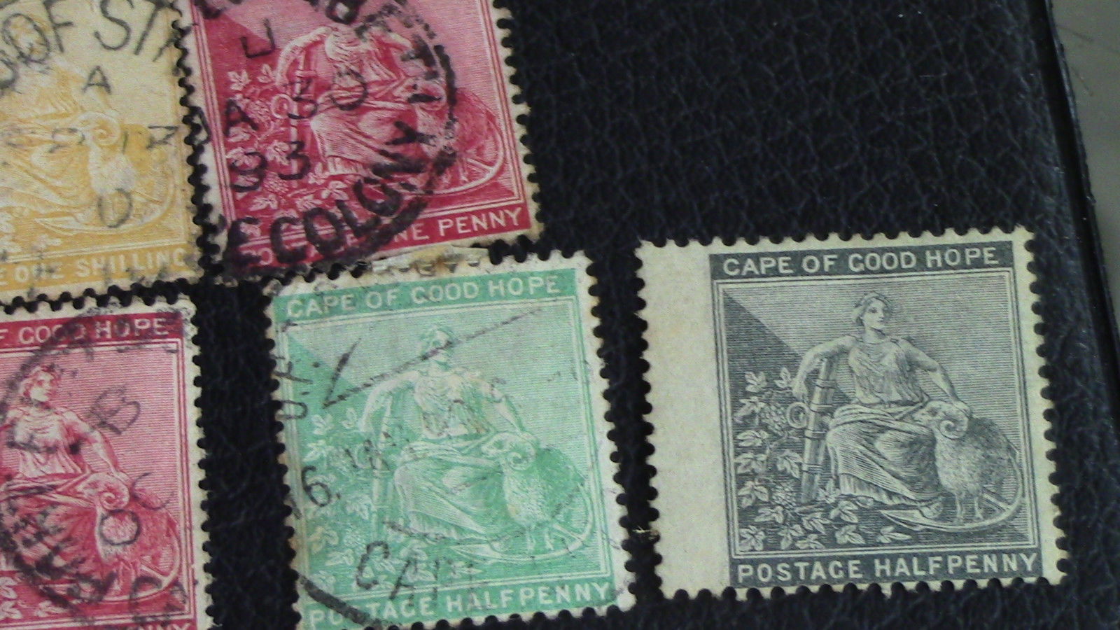 Lot 49 Timbres stamps Cap bonne espérance cap good hood use + Neuf 1872 à 1894