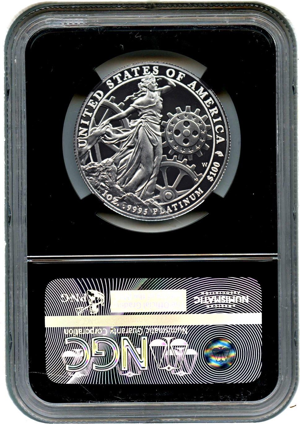 2013-W Platinum Eagle $100 NGC PR 70 UCAM - Statue Liberty 1 oz