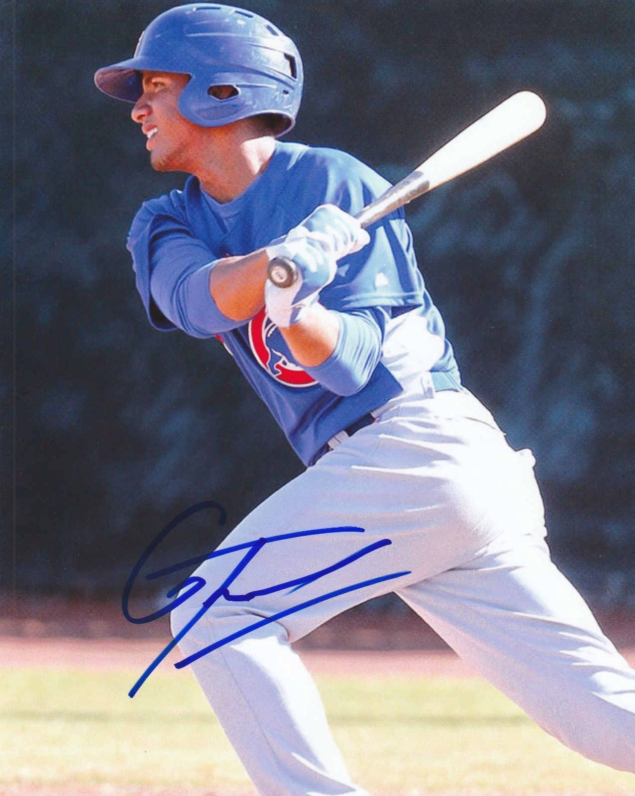 Gleyber Torres Signed 8x10 Cubs Photo COA Autographed New York Yankees