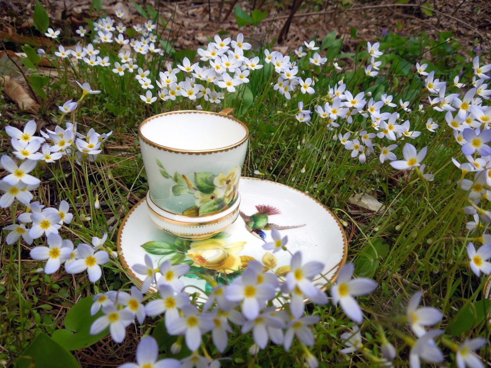 Antique Cup Saucer George Jones Yellow Roses Flowers Floral Hand Painted Gold