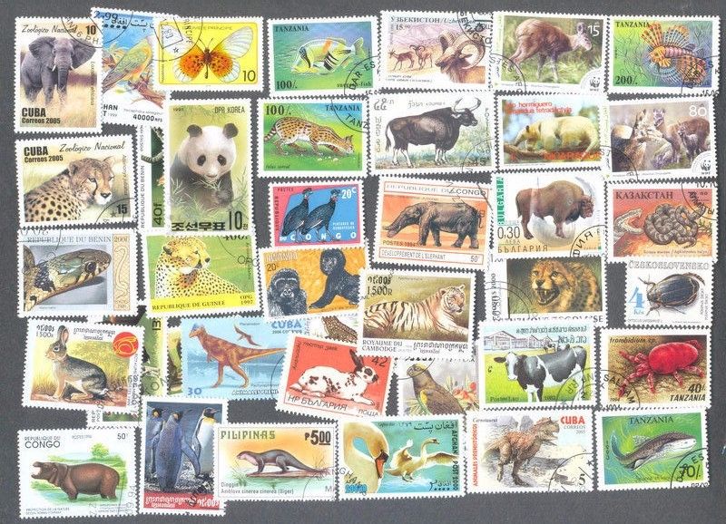 Animal Kingdom 1000 all different collection-all forms of wildlife stamps