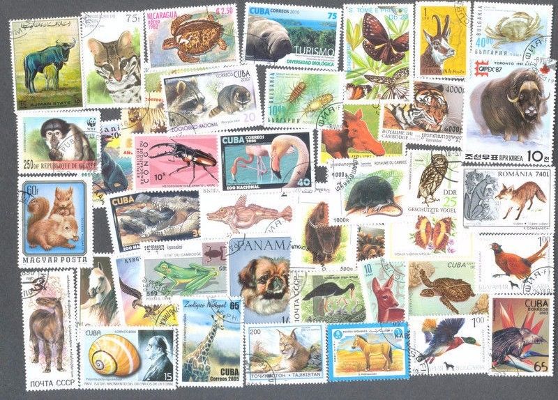 Animal Kingdom 1000 all different collection-all forms of wildlife stamps