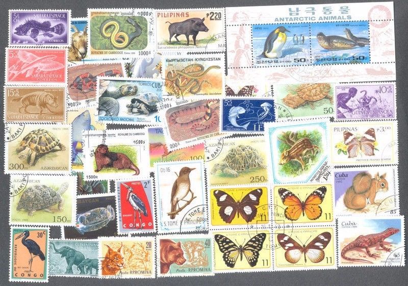 Animal Kingdom 1000 all different collection-all forms of wildlife stamps