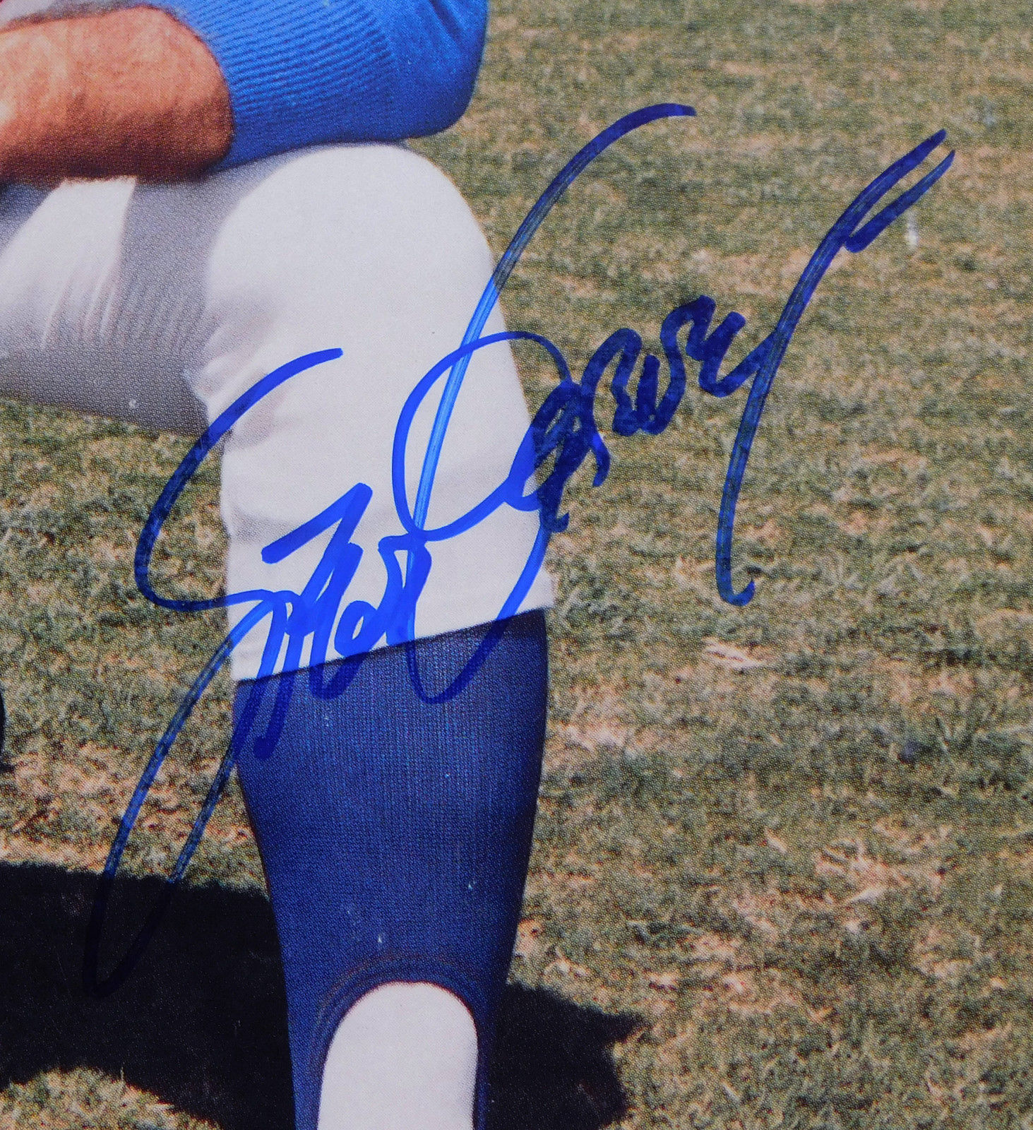 Steve Garvey Signed 8 x 10 Color Photo Dodgers PSA/DNA Auto