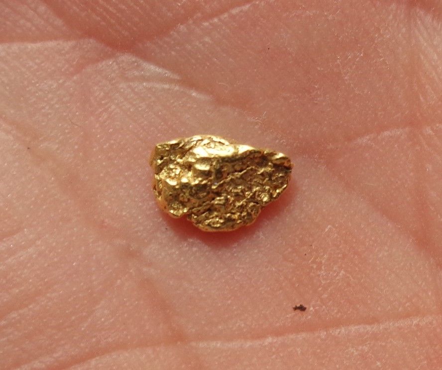 Pépite Or Naturel 22K Alaska Alaskan Gold Nugget 0,468g Collection Pepita De Oro