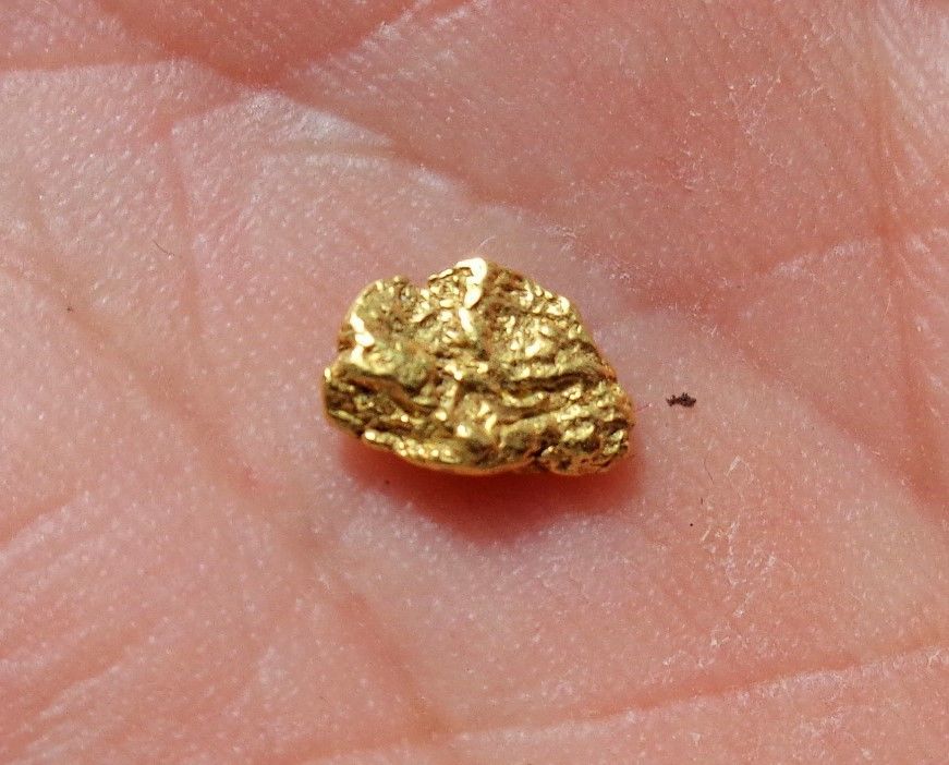 Pépite Or Naturel 22K Alaska Alaskan Gold Nugget 0,468g Collection Pepita De Oro