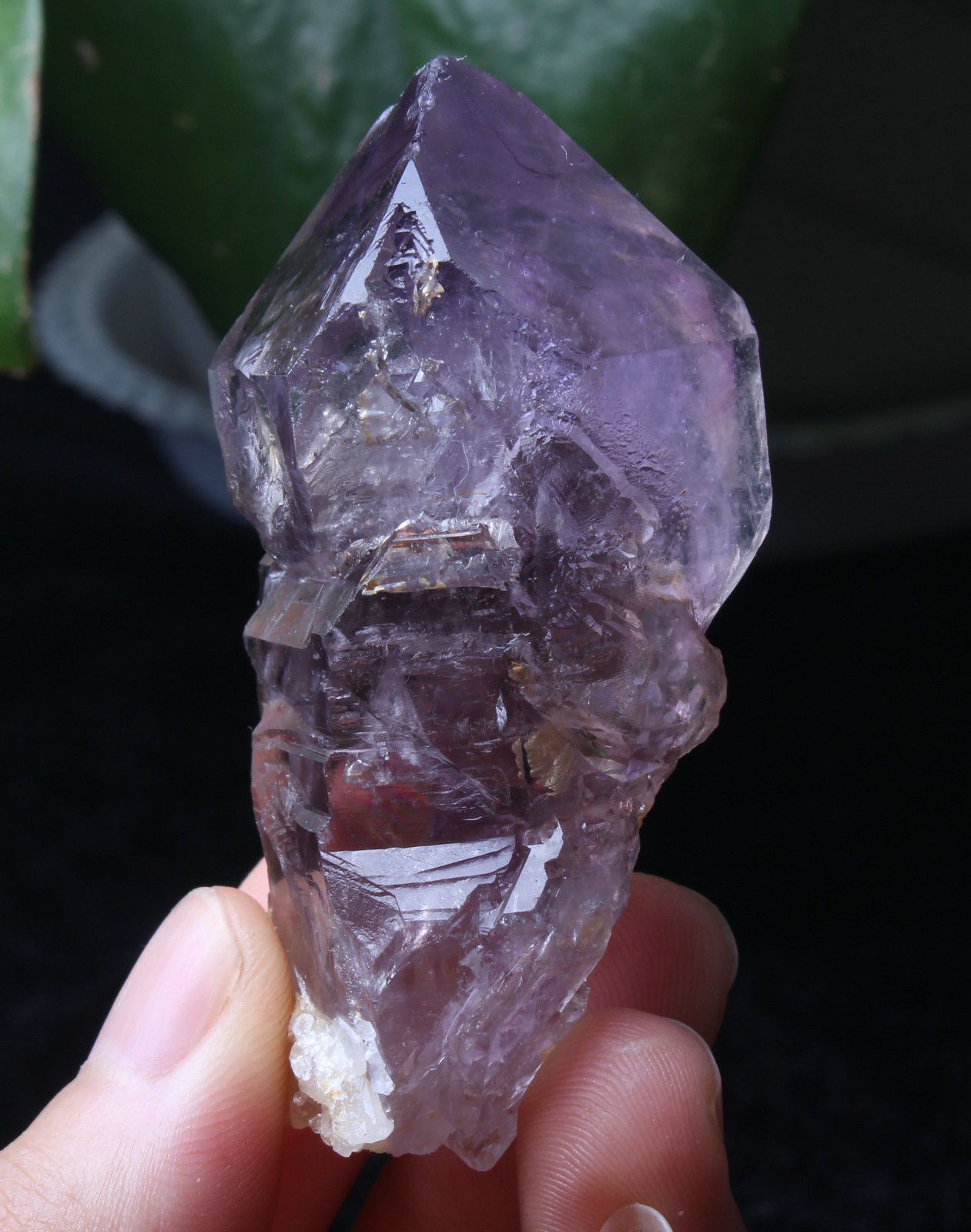 Natural Skeletal Amethyst QUARTZ Crystal Point Specimen Healing  70.7g