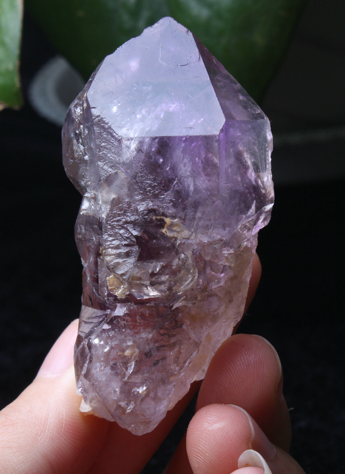 Natural Skeletal Amethyst QUARTZ Crystal Point Specimen Healing  70.7g