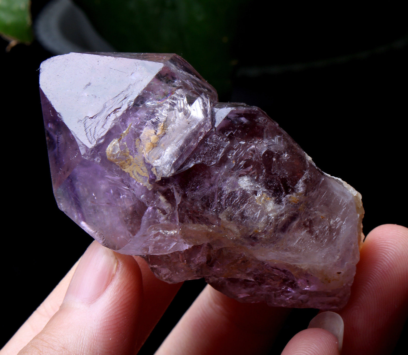 Natural Skeletal Amethyst QUARTZ Crystal Point Specimen Healing  70.7g