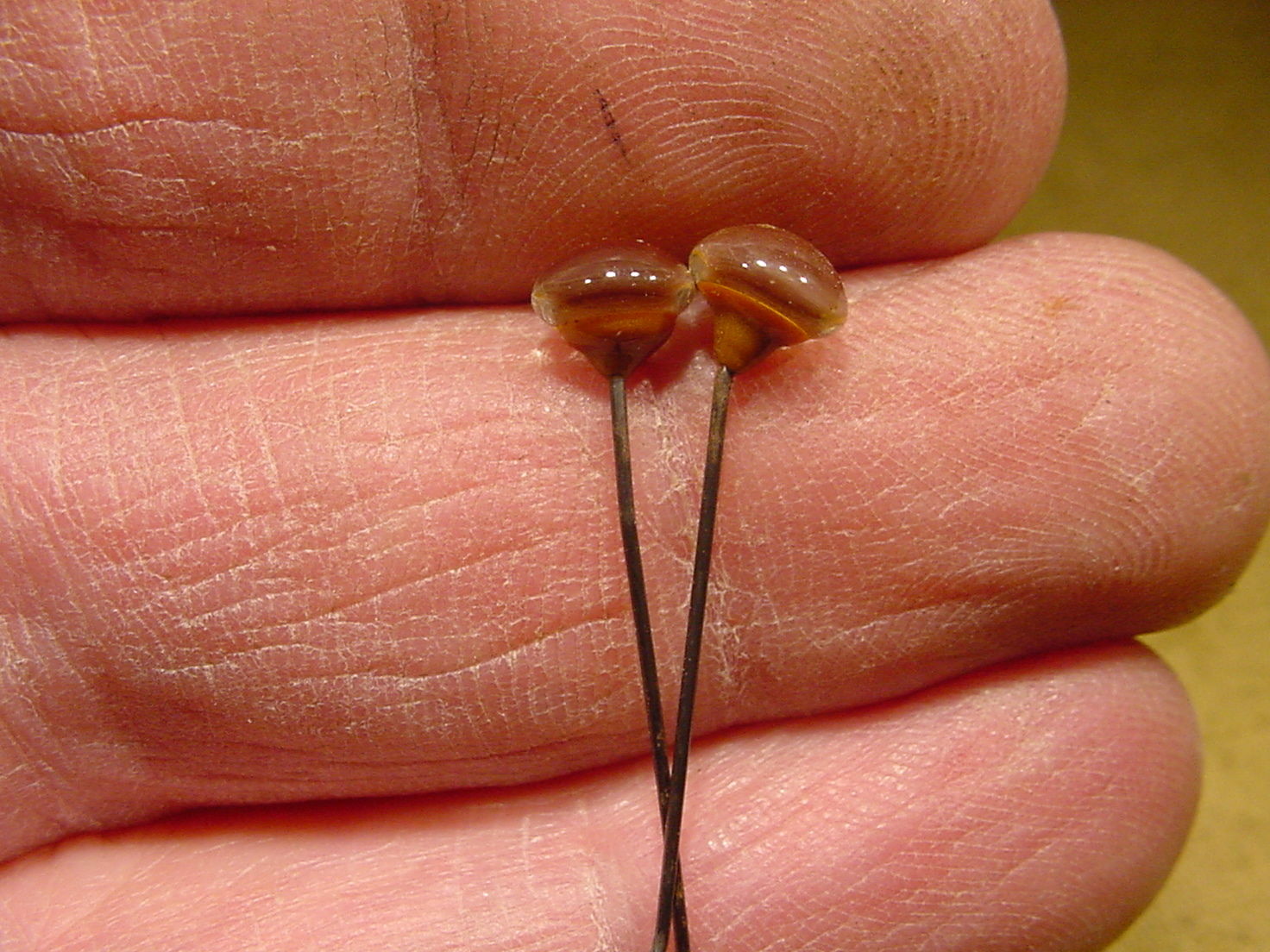 a pair vintage solid Glass Eyes size 6 mm age 1910 for doll bears taxidermy 361