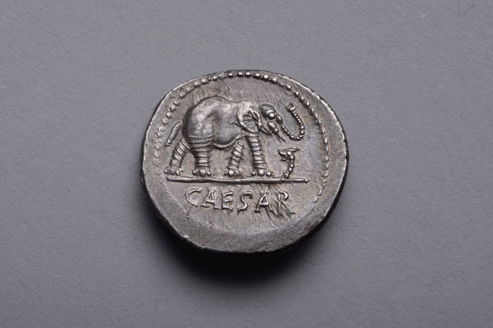 Exceptional Ancient Roman Silver Elephant Denarius Coin of Julius Caesar - 49 BC
