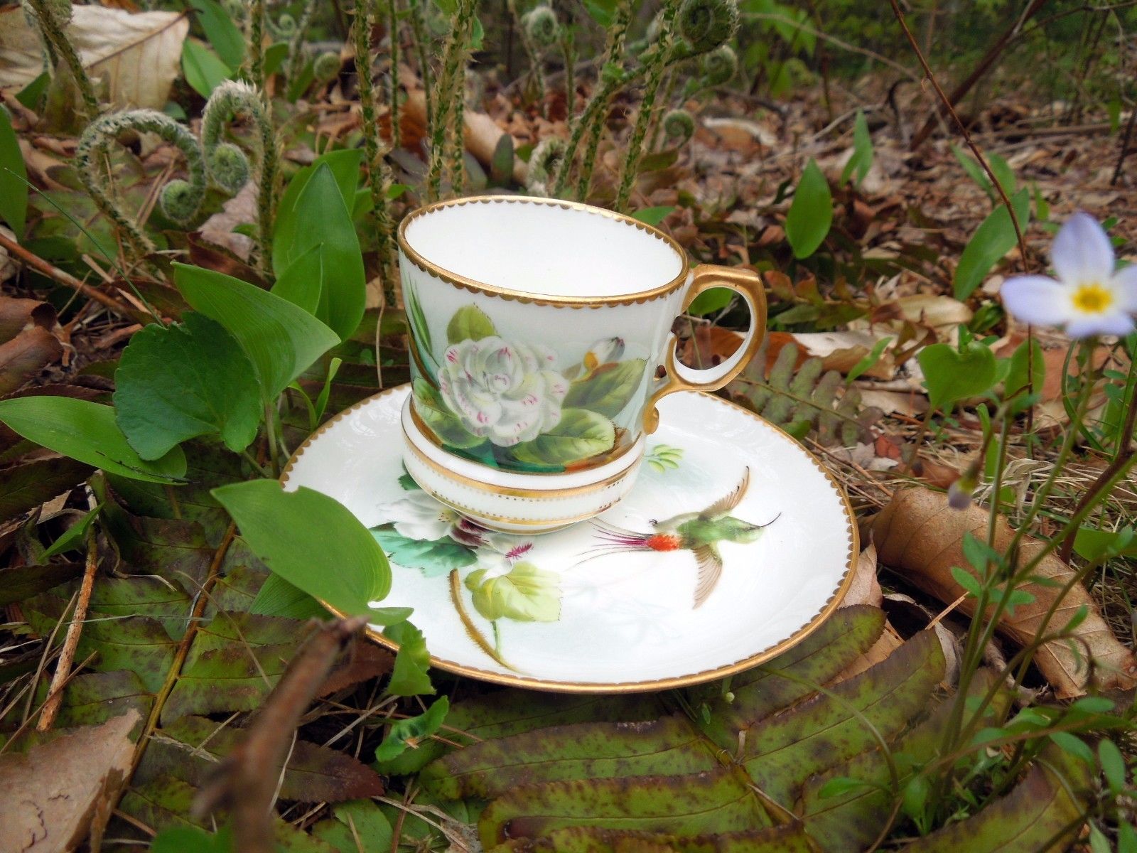 Antique Cup Saucer George Jones White Roses Flowers Floral Hand Painted Gold