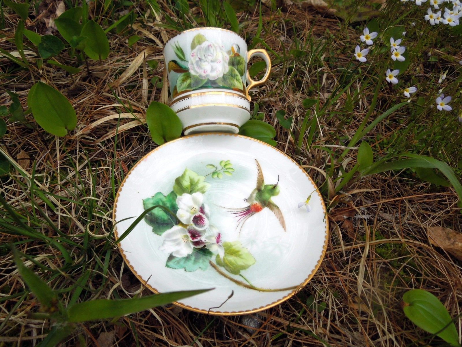 Antique Cup Saucer George Jones White Roses Flowers Floral Hand Painted Gold