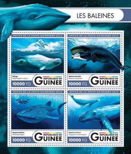 Whales Beluga Animals Marine Fauna Guinea MNH stamp set 2 sheets