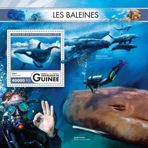 Whales Beluga Animals Marine Fauna Guinea MNH stamp set 2 sheets